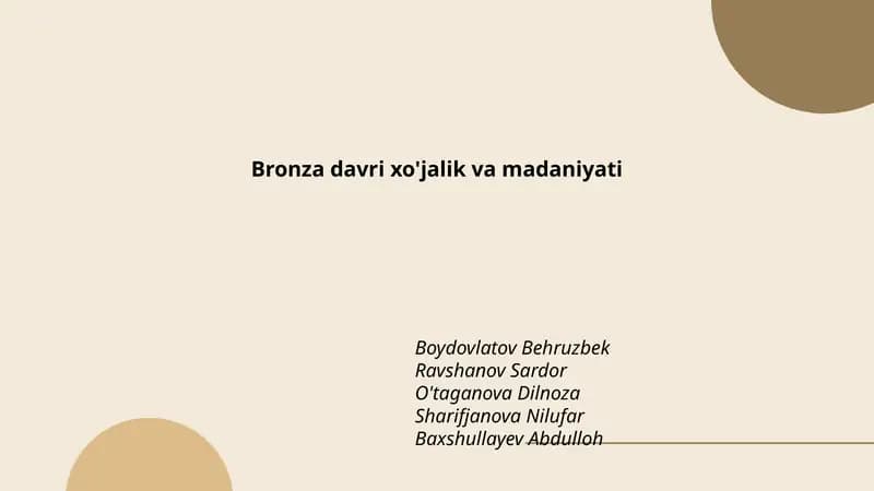 Bronza davri xo'jalik va madaniyati