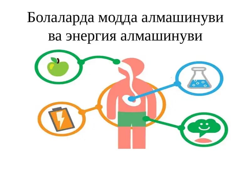 Болаларда модда алмашинуви ва энергия алмашинуви
