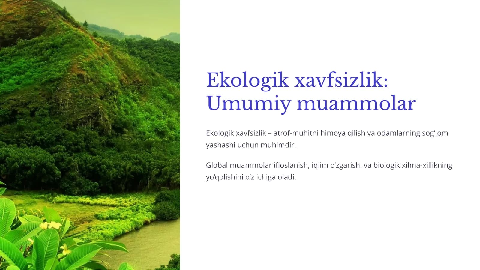 Ekologik xavfsizlik: Umumiy muammolar