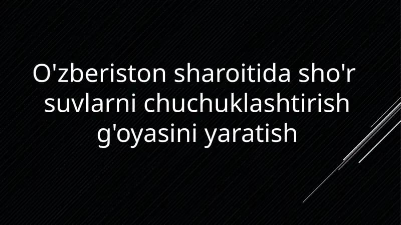 O'zberiston sharoitida sho'r suvlarini chuchuklashtirish go'yasini yaratish
