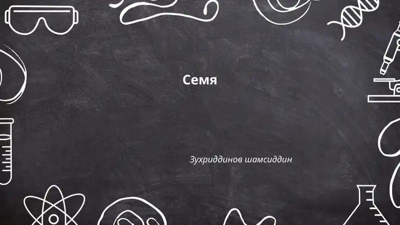 Семя