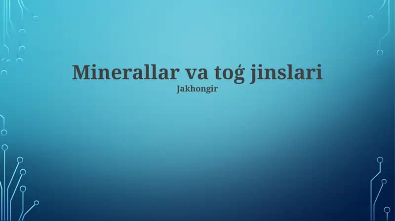 Minerallar va toģ jinslari