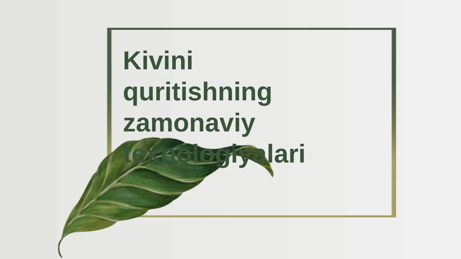 Kivini quritishning zamonaviy texnologiyalari