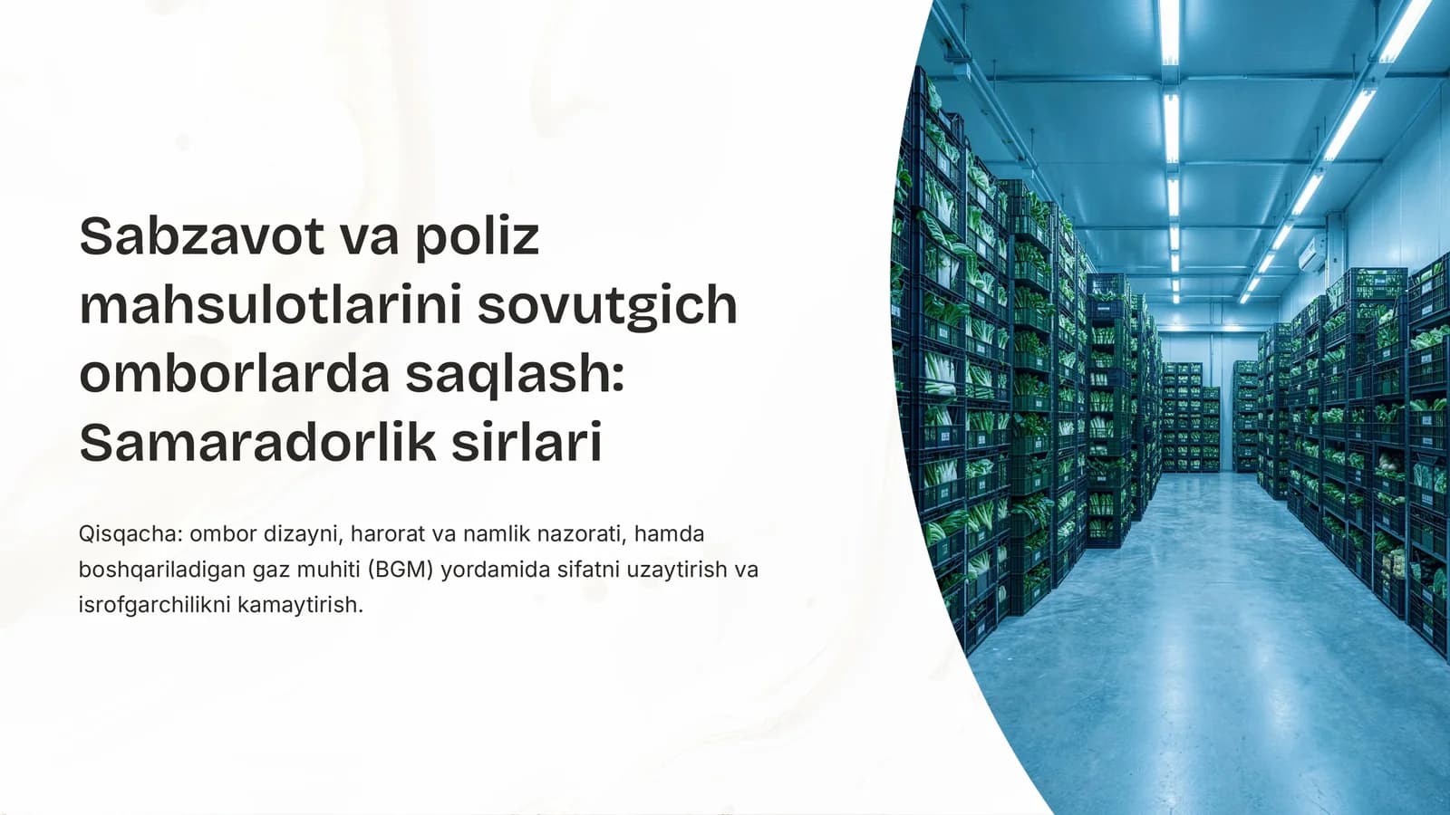 Sabzavot va poliz mahsulotlarini sovutgich omborlarda saqlash: Samaradorlik sirlari
