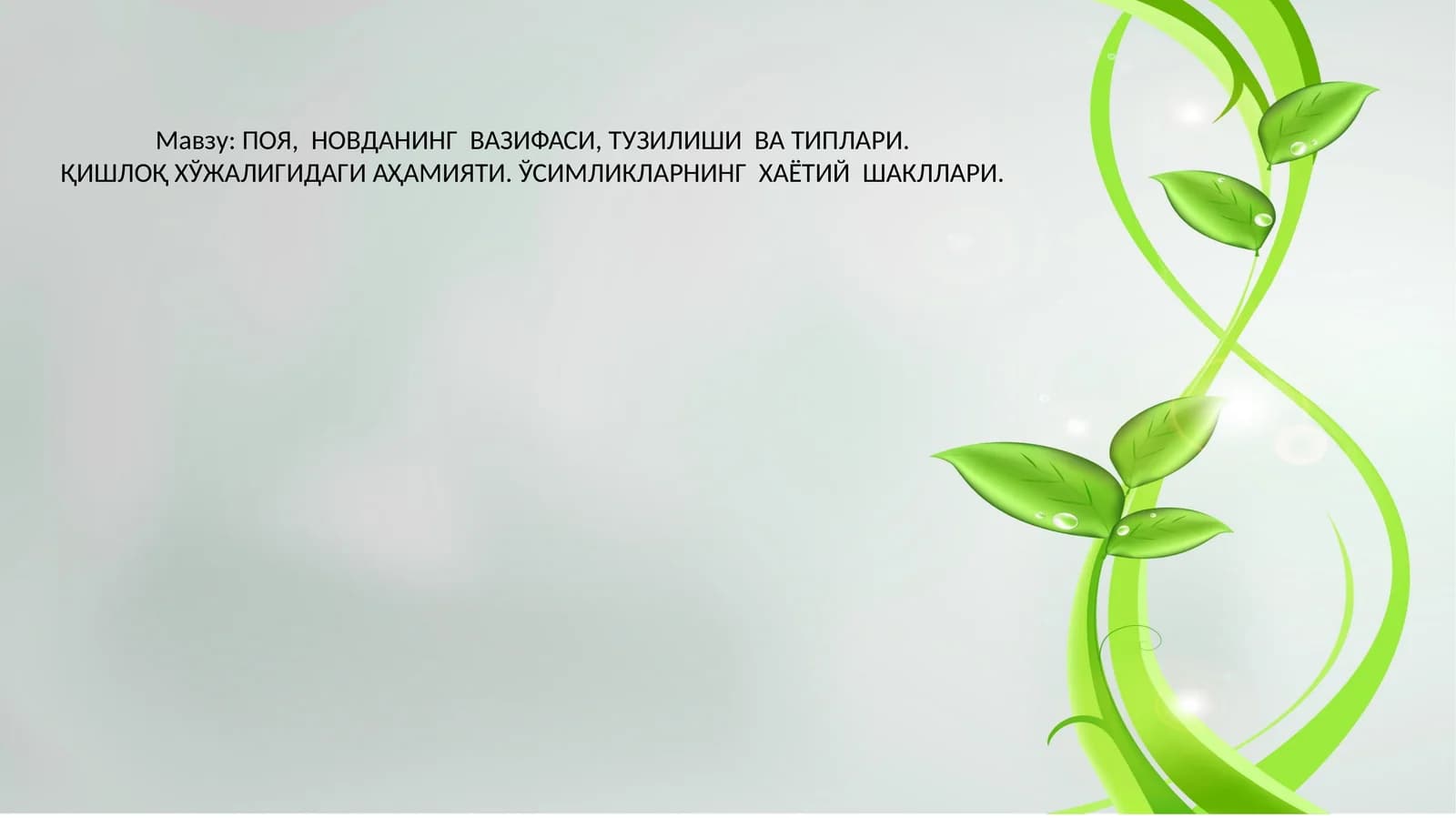 ПОЯ, НОВДАНИНГ ВАЗИФАСИ, ТУЗИЛИШИ ВА ТИПЛАРИ