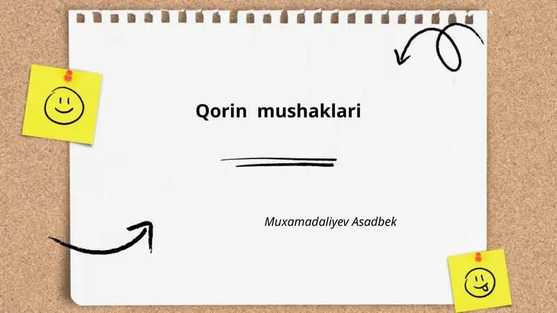 Qorin mushaklari anatomiyasi