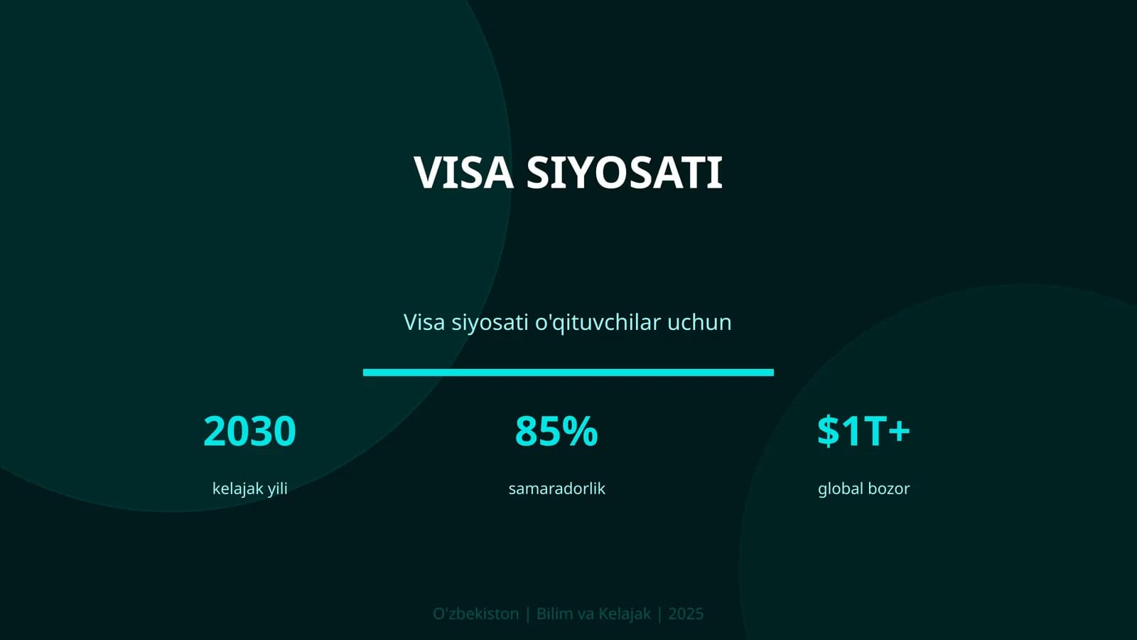 Visa siyosati