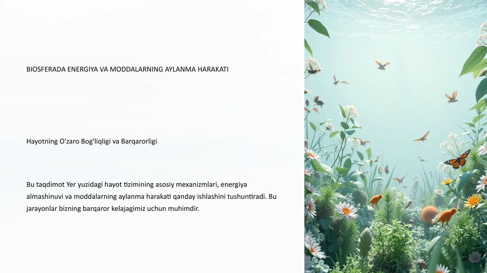 BIOSFERADA ENERGIYA VA MODDALARNING AYLANMA HARAKATI