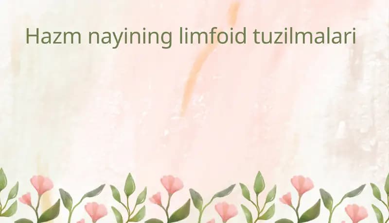 Hazm nayining limfoid tuzilmalari
