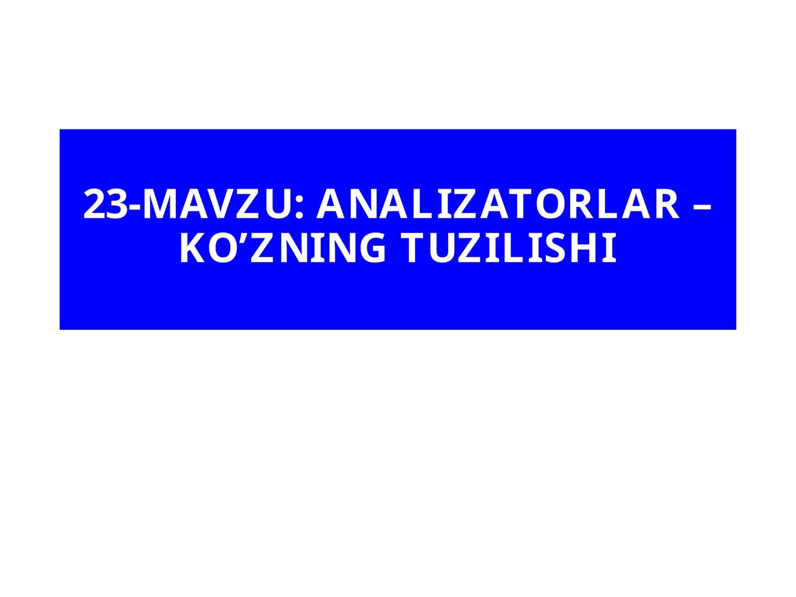 ANALIZATORLAR – KO’ZNING TUZILISHI