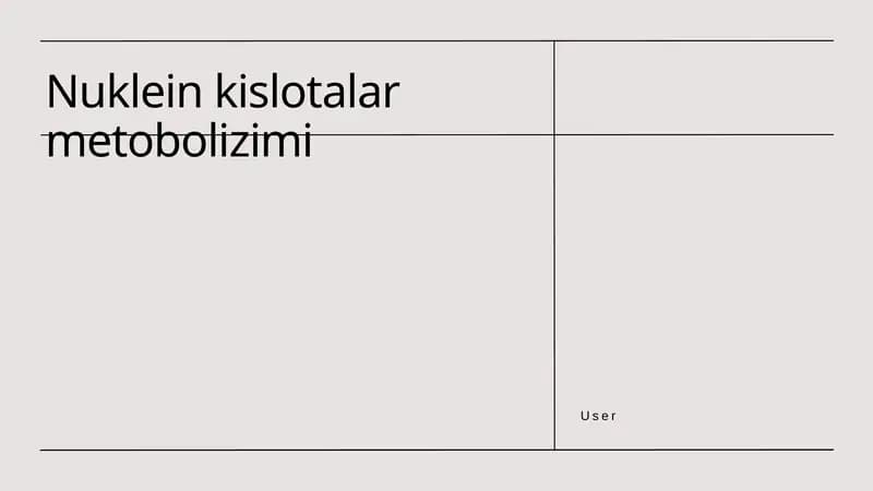 Nuklein kislotalar metobolizimi
