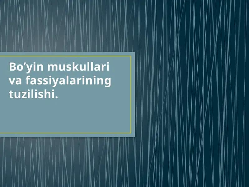 Bo’yin muskul va fassiyalarining tuzilishi