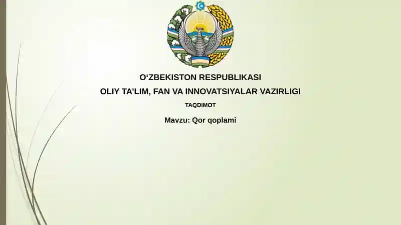 Qor qoplami