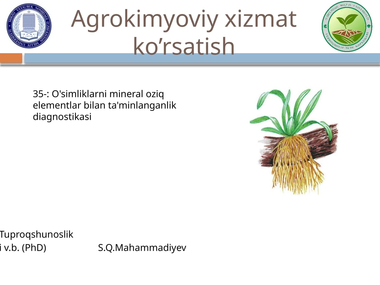 O'simliklarni mineral oziq elementlar bilan ta'minlanganlik diagnostikasi