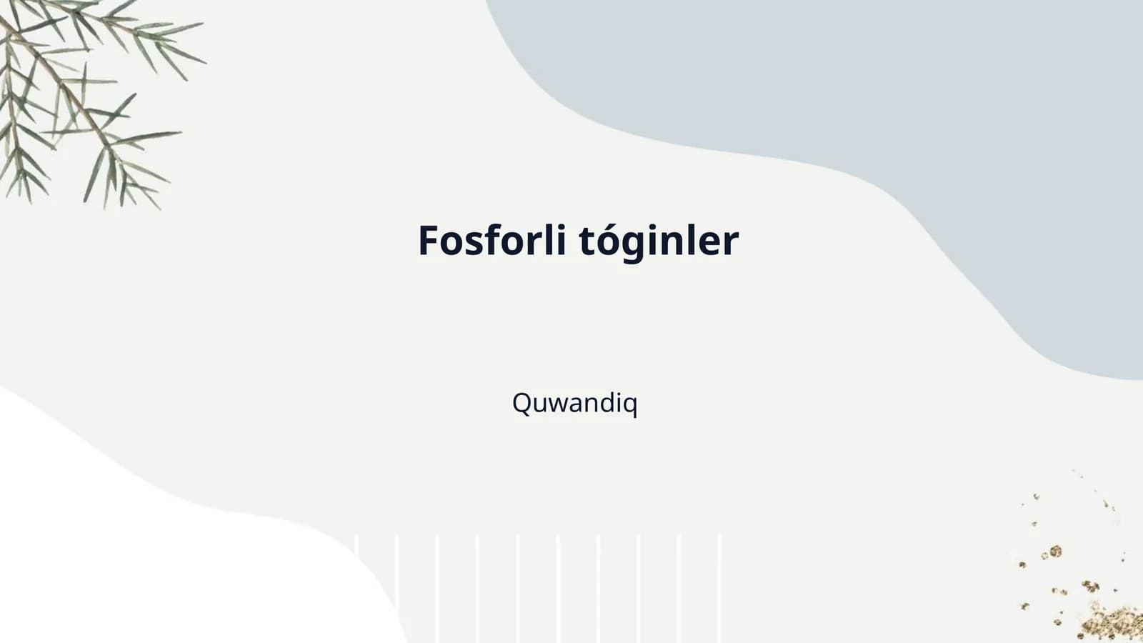 Fosforli tóginler
