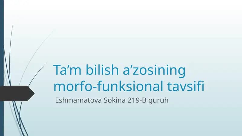 taʼm bilish aʼzosining morfofunksional tavsifi