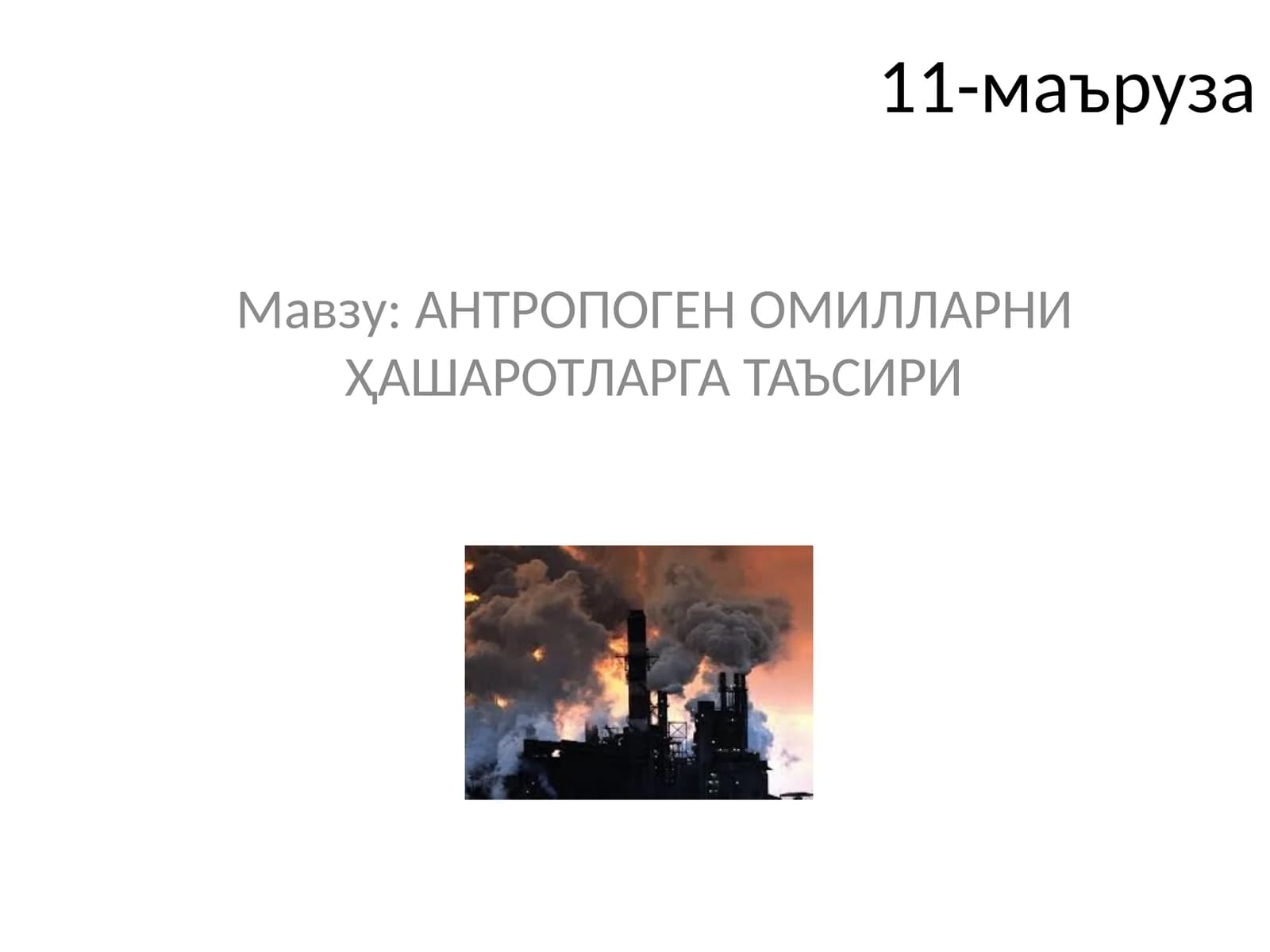 АНТРОПОГЕН ОМИЛЛАРНИ ҲАШАРОТЛАРГА ТАЪСИРИ
