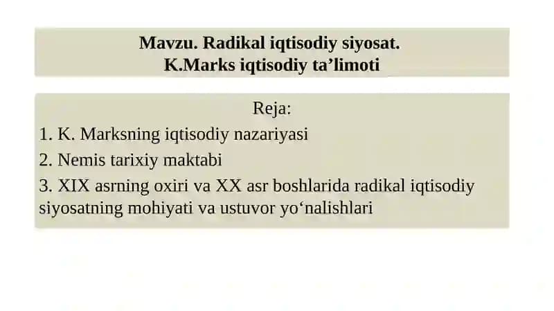 Radikal iqtisodiy siyosat