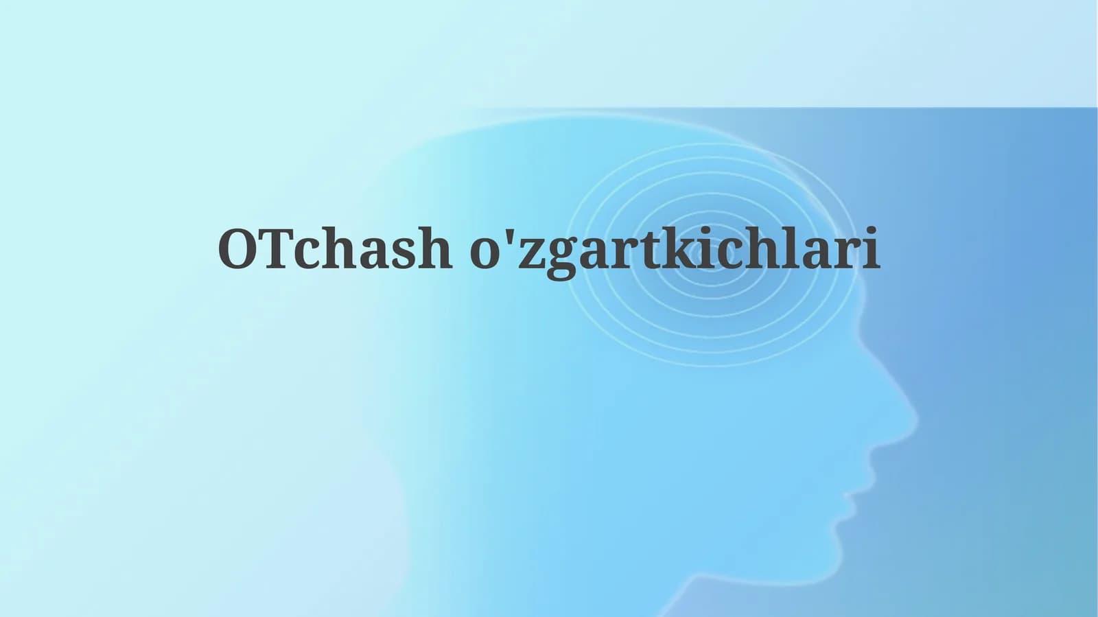 O'zgaruvchi konvertorlari