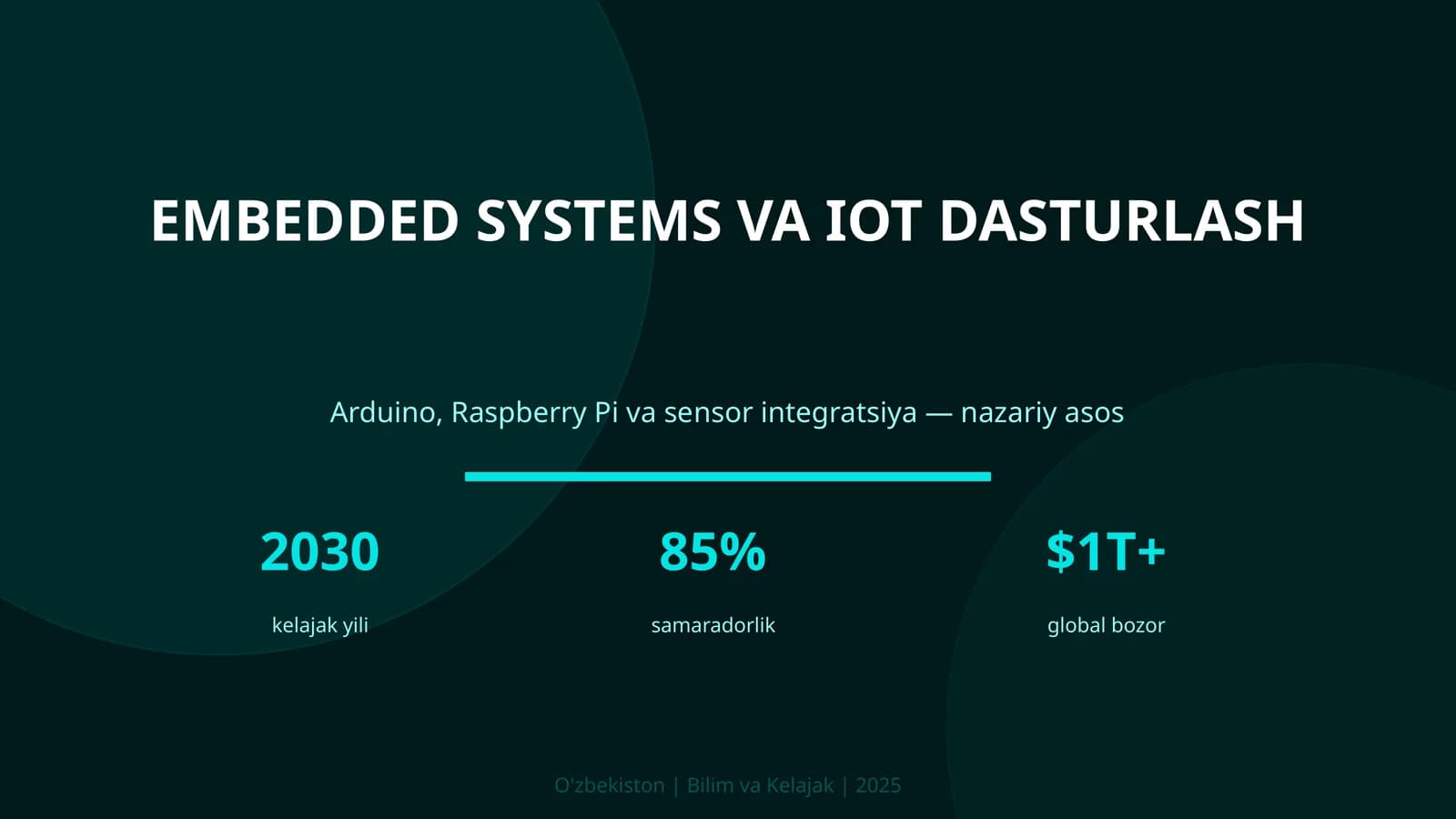 Embedded Systems va IoT Dasturlash