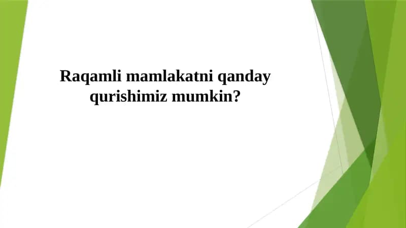 Raqamli mamlakatni qanday qurishimiz mumkin