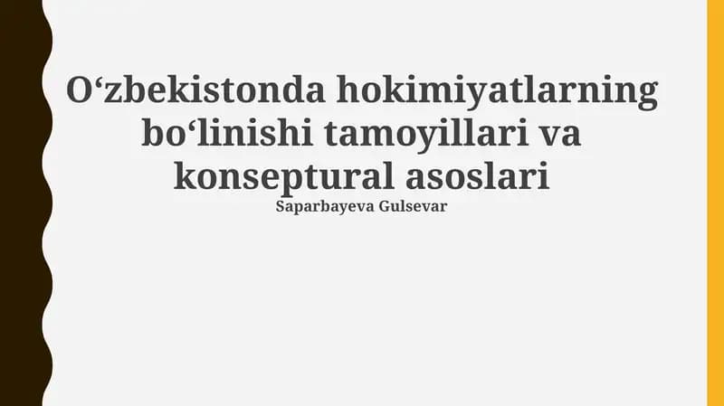 Oʻzbekistonda hokimiyatlarning boʻlinishi tamoyillari va konseptural asoslari