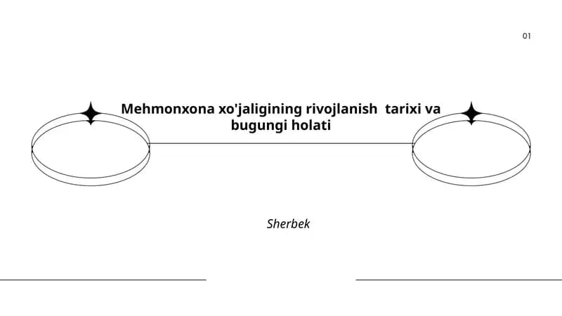 Mehmonxona xo'jaligining rivojlanish tarixi va bugungi holati