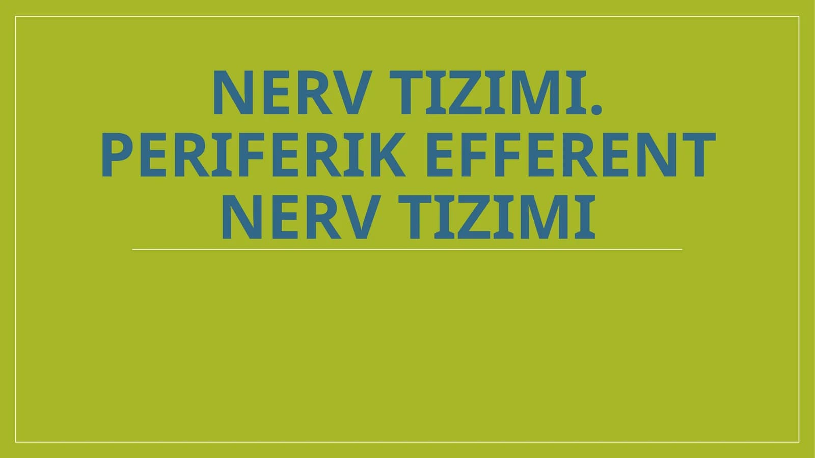 Nerv sistemasining bo'linishi