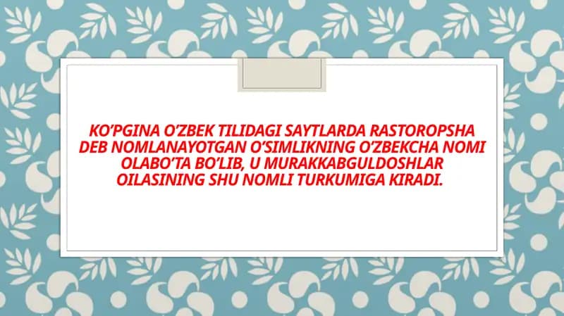 Olabuta (Silybum) Turkumi