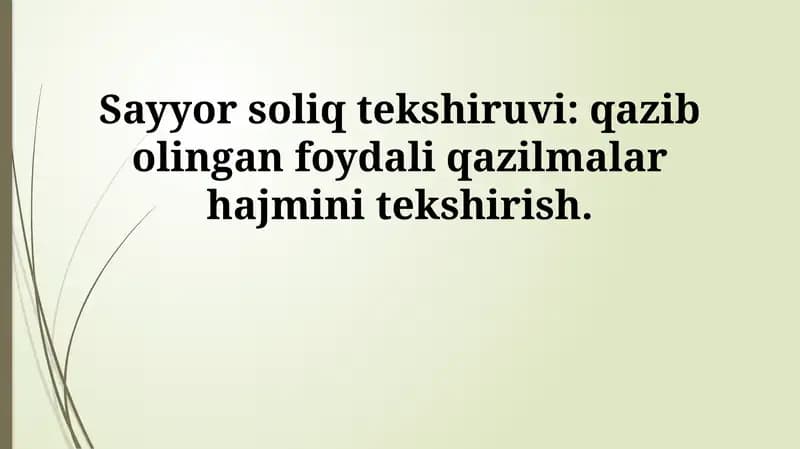 Sayyor soliq tekshiruvi