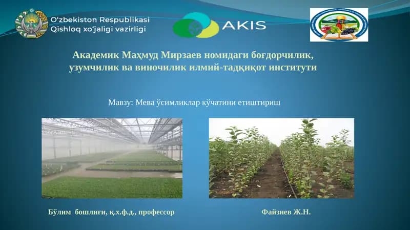 Мева ўсимликлар кўчатини етиштириш
