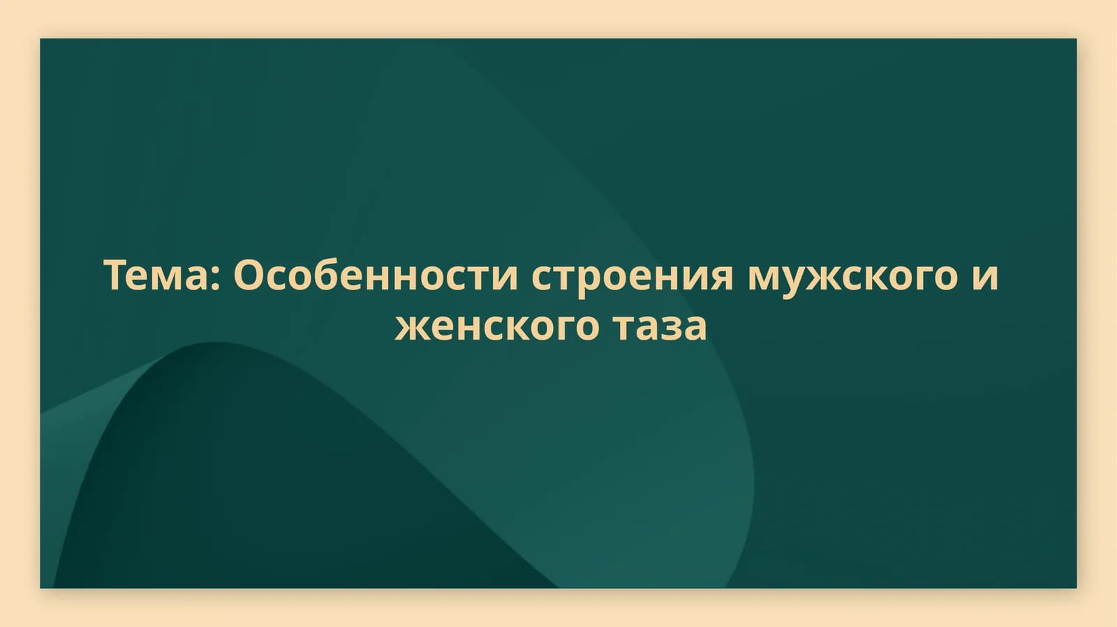 Особенности строения мужского и женского таза
