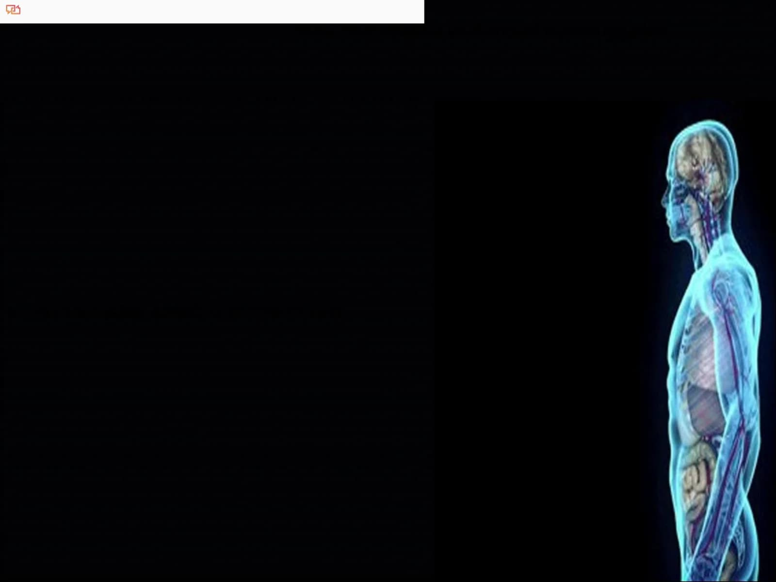 Informatika va Axborot texnologiyalari Kursi