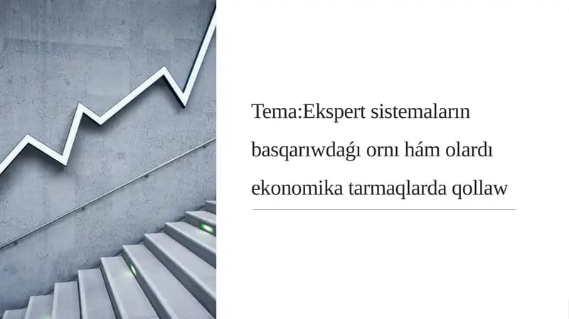 Ekspert sistemaların basqarıwdaǵı ornı hám olardı ekonomika tarmaqlarda qollaw