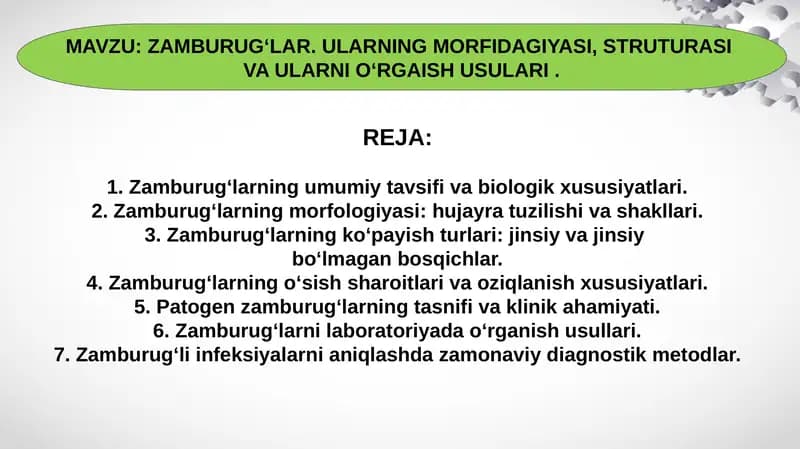 ZAMBURUGʻLAR. ULARNING MORFIDAGIYASI, STRUTURASI  VA ULARNI OʻRGAISH USULARI