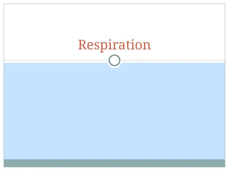 Respiration