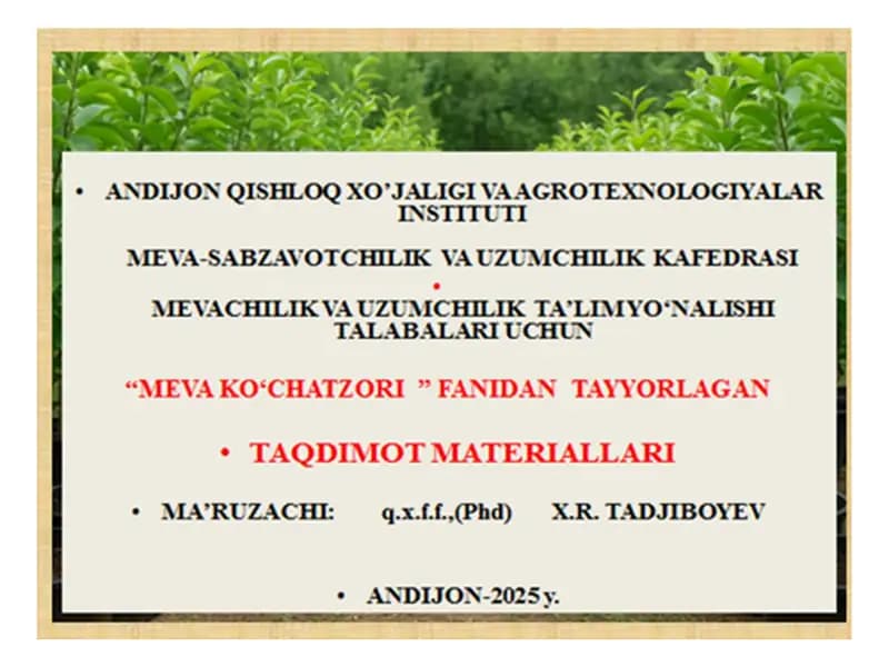 Meva ko‘chatzorining ikkinchi dalasida Tadbirlar Reja