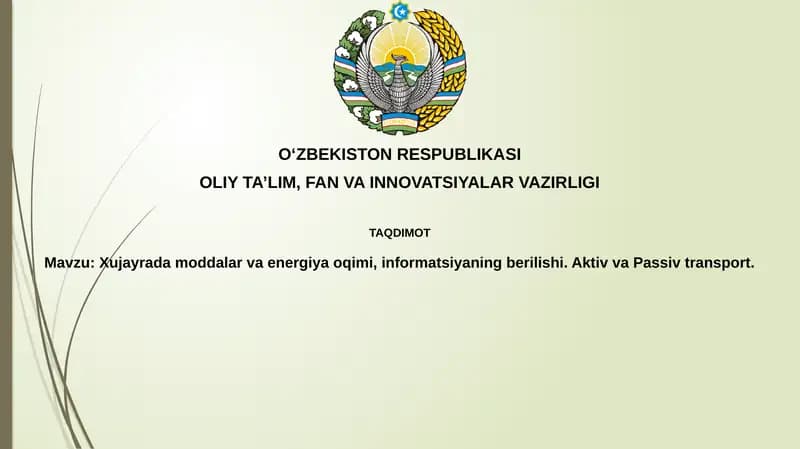 Moddalar va energiya oqimi