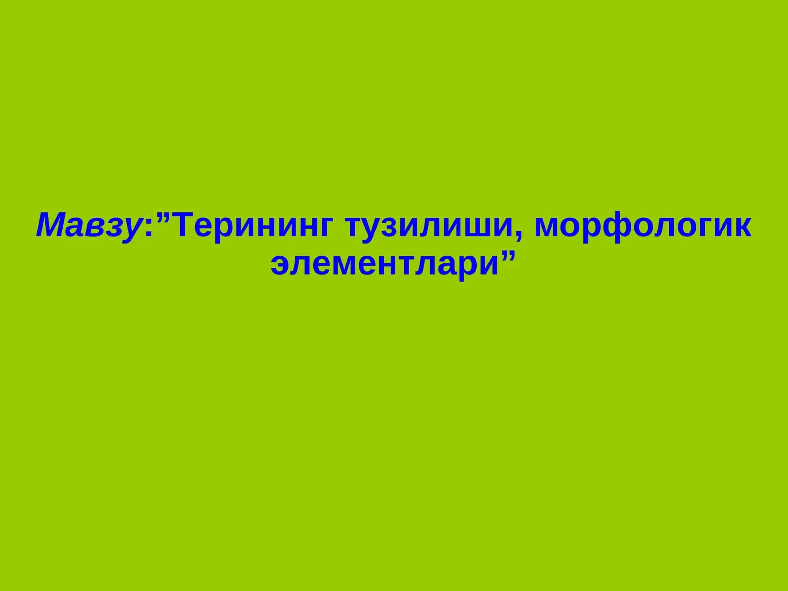 Терининг тузилиши, морфологик элементлари