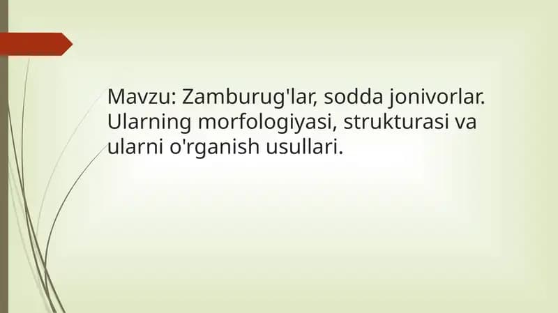 Zamburug'lar, sodda jonivorlar. Ularning morfologiyasi, strukturasi va ularni o'rganish usullari.
