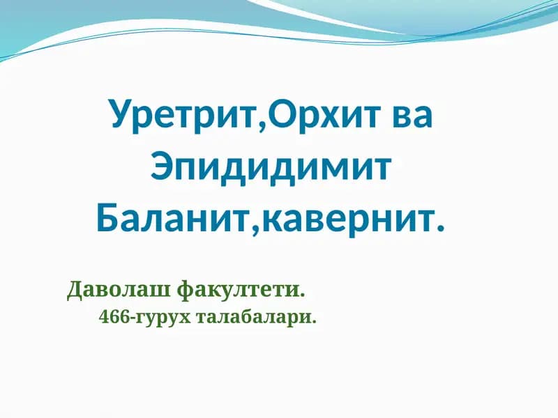 Орхит