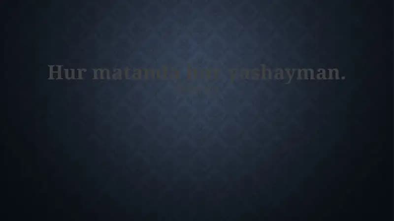 Sevimli mashg'ulotlarim