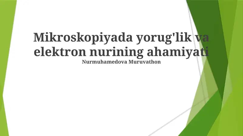 Skanirovchi elektron mikroskoplari (SEM)