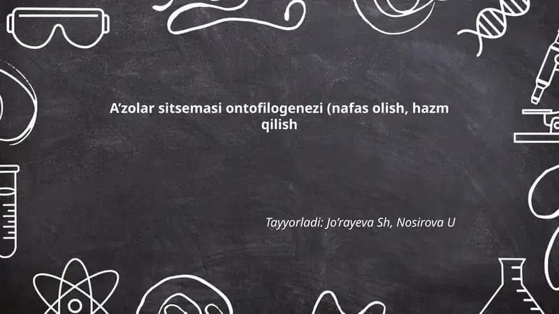 A’zolar sitsemasi ontofilogenezi