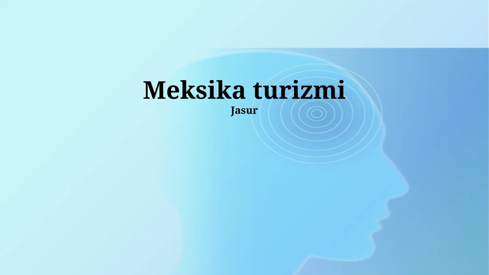 Meksika turizmi
