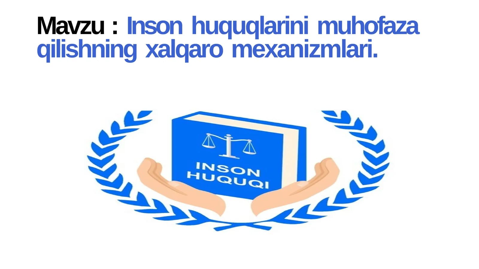 Inson huquqlarini muhofaza qilishning xalqaro mexanizmlari