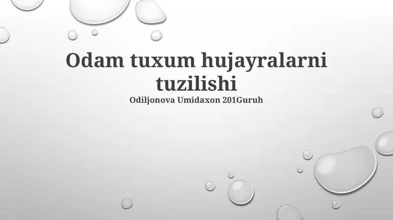 Inson tuxum hujayralarining strukturas: ER va organellalar