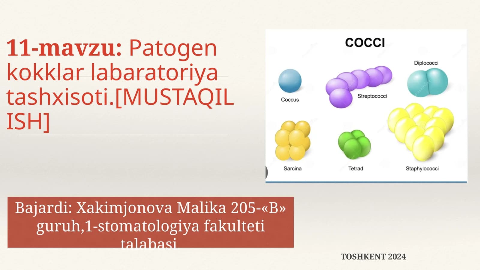Patogen kokklar labaratoriya tashxisoti