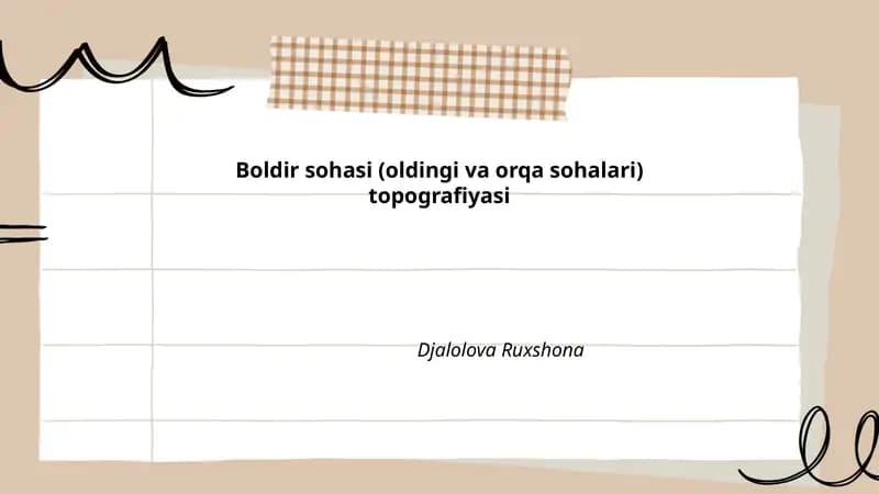 Boldir mushaklari anatomiyasi