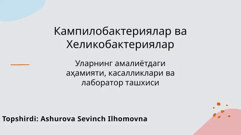 Кампилобактериялар ва Хеликобактериялар